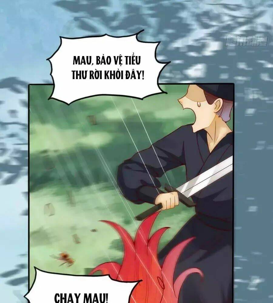 thần y khí nữ: ngự thú cuồng phi của quỷ đế chapter 65 10