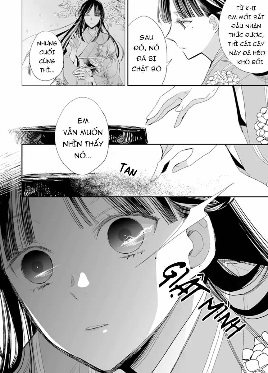 watashi no shiawase na kekkon chapter 17 14