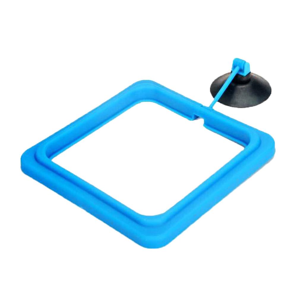2PCS Fish Food Feeding  Aquarium Feeding Circle  Fish Tank Feeder