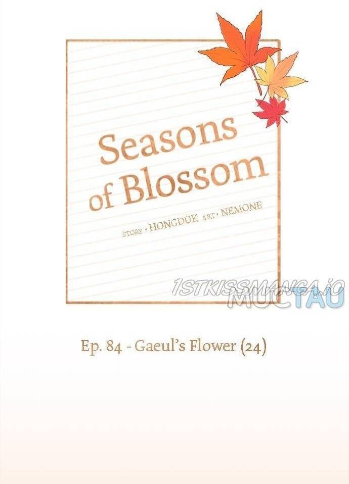 thanh xuân rực rỡ - season of blossom chapter 84 21