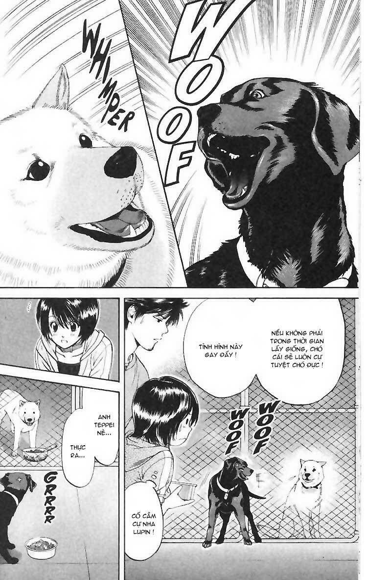 cô nàng yêu chó chapter 4 16