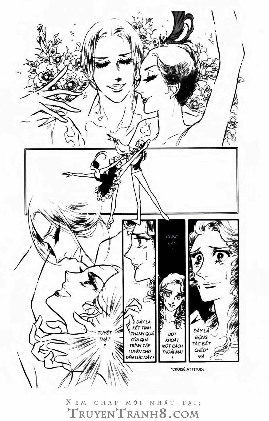 swan - vũ khúc thiên nga chapter 82 6
