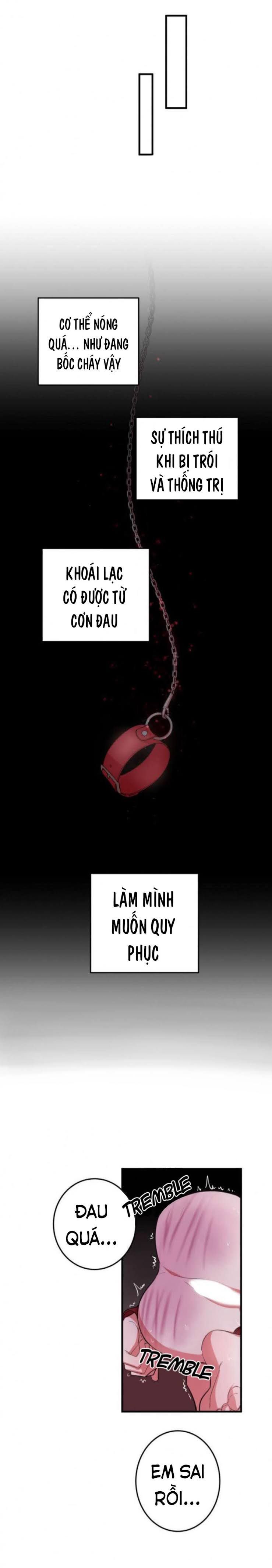 khẩu vị và sự tôn thờ của người yêu tôi chapter 4 7