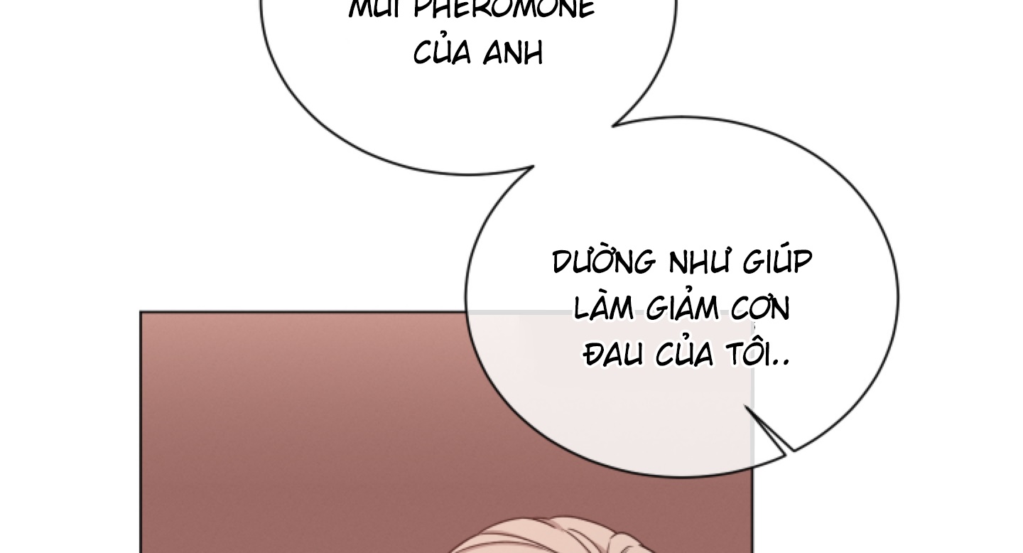 hội chứng minmotion chapter 43 91