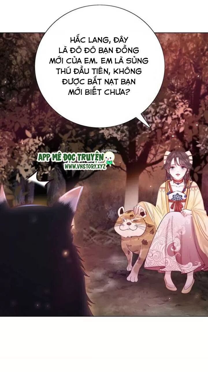cực phẩm phế vật tiểu thư chapter 61 42