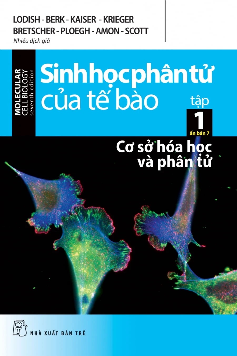 Sinh Học Phân Tử Của Tế Bào: Tập 1 - Cơ Sở Hoá Học Và Phân Tử (Tái Bản 2024)