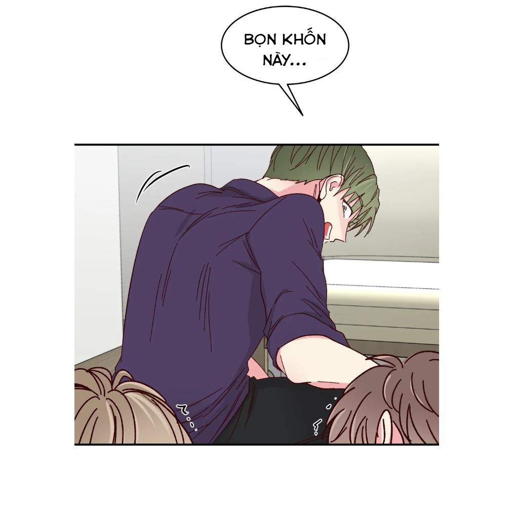 món tráng miệng của sếp tổng chapter 57 3