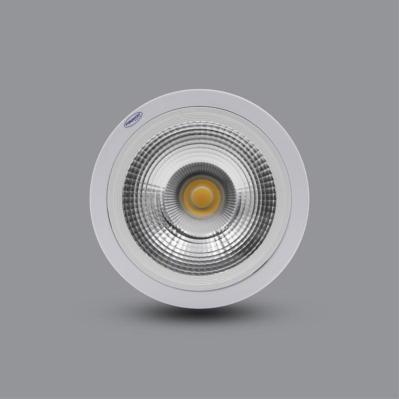 ĐÈN LED DOWNLIGHT 10W GẮN NỔI PSDOO132L10