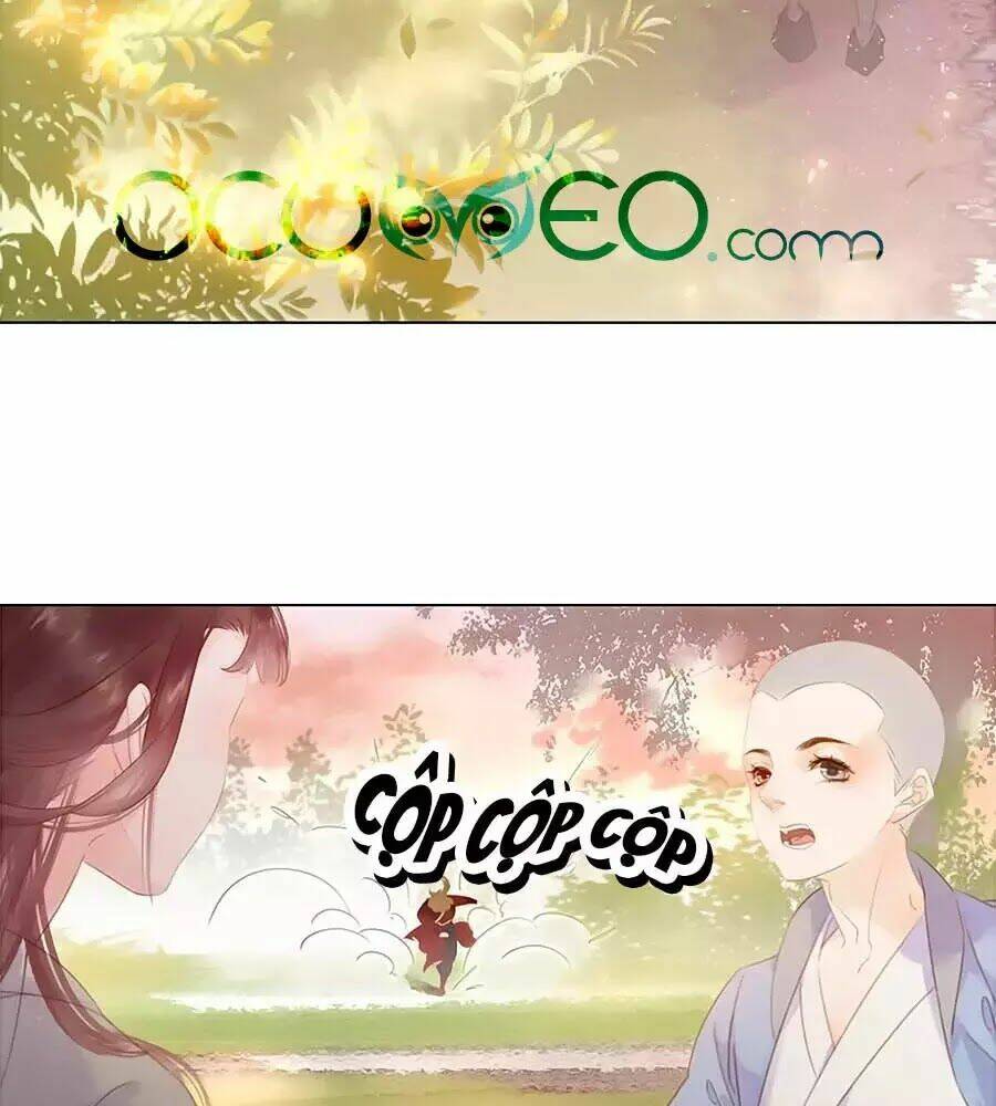 tiểu sư phụ, tóc giả của ngài rơi rồi! chapter 19 4