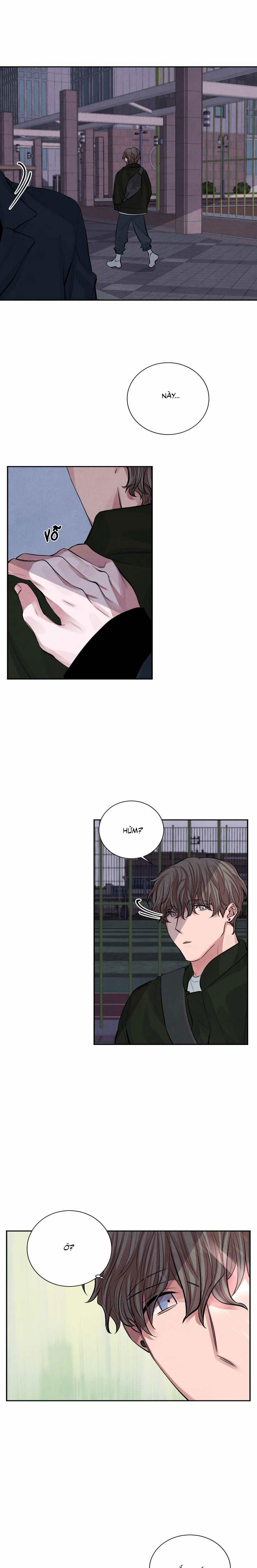 tiếng san hô nở chapter 1 17