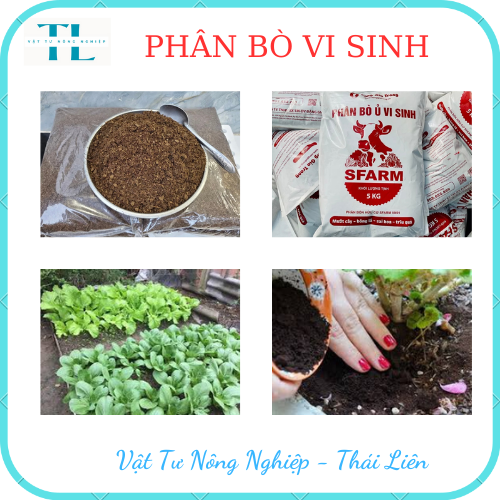 Phân bò ủ vi sinh SFARM đã qua xử lý - Bao 5kg