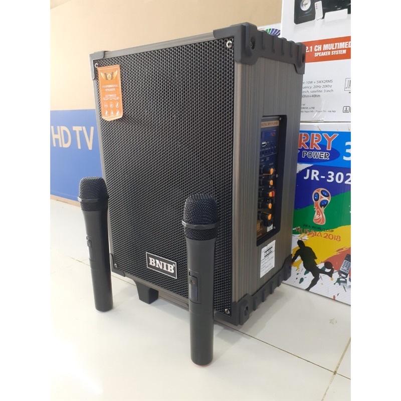 Loa karaoke hát hay giá rẻ BNIB T8 thùng gỗ bass 2 tấc tặng kèm 2 mic không dây