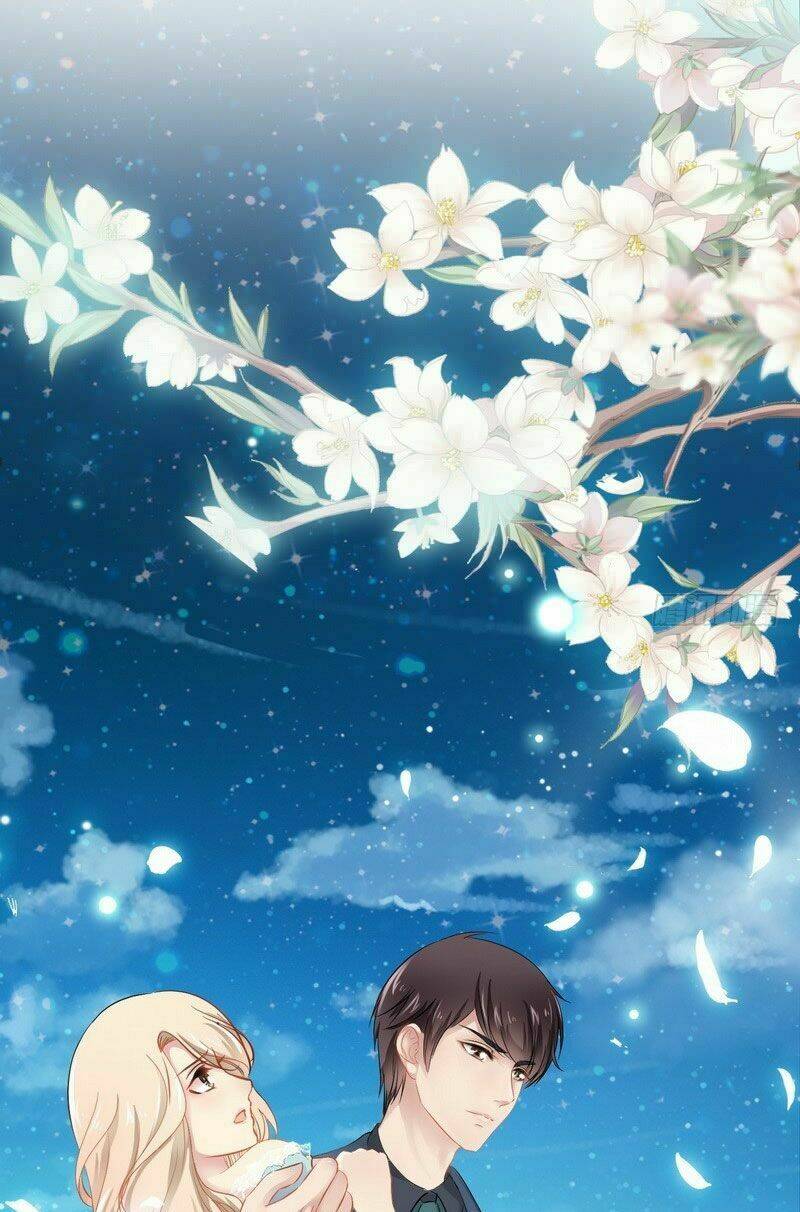 thần bí đế thiếu điềm sủng thê chapter 2 7