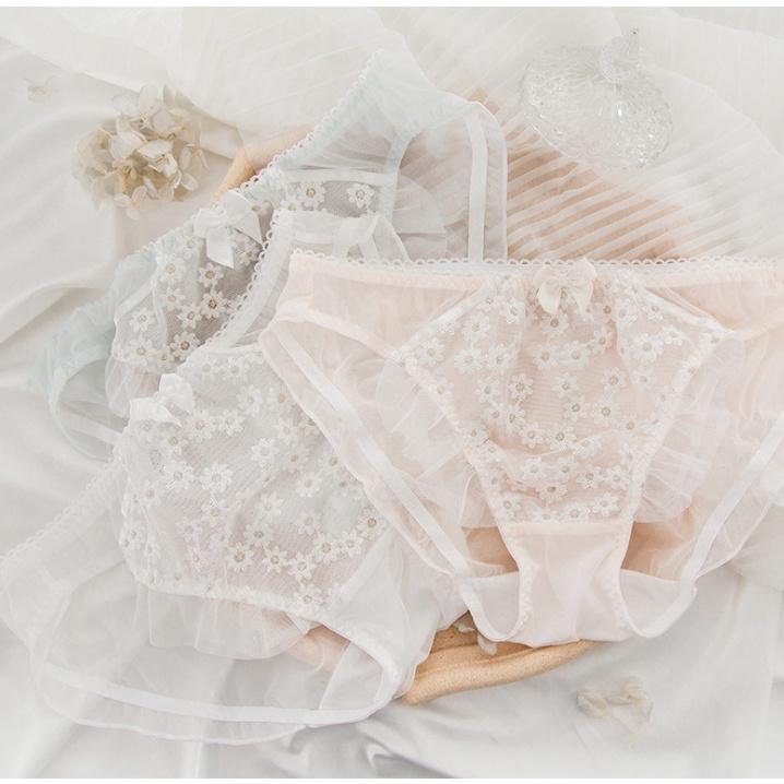 Quần Lót Nữ Ren Mỏng Thoáng Khí Phủ Ren Hoa SEXY Xuất Đông Âu . Hàng Loại Đẹp.