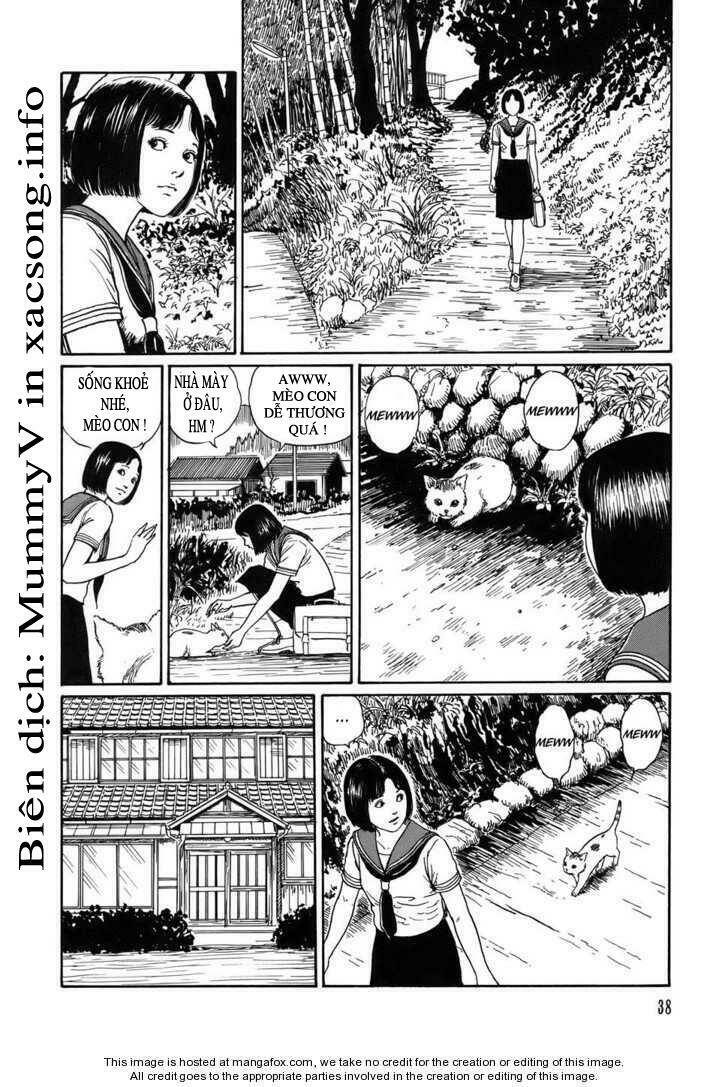 new voices in the dark chapter 2 2