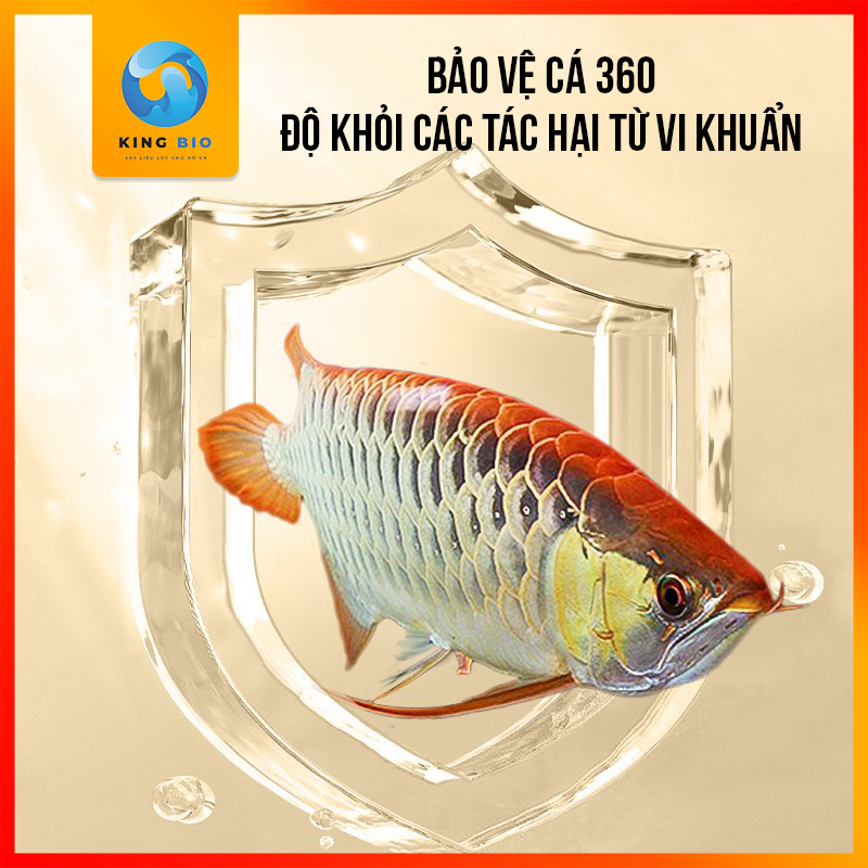 Chế phẩm sinh học Yee White Bot loại bỏ nấm trắng, thối vây, thối đuôi, xù vẩy và các vấn đề ngoài da cho cá
