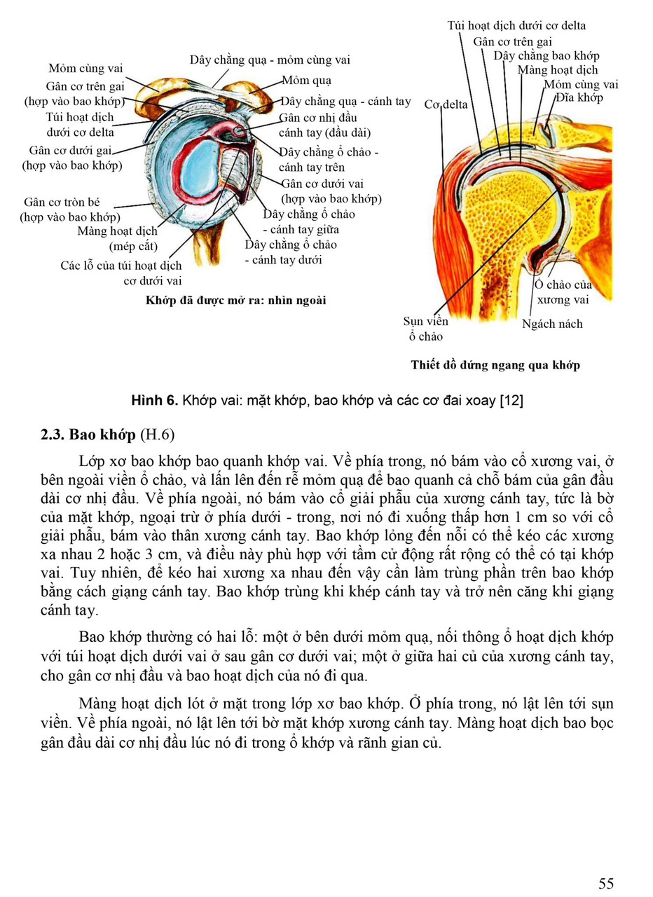 BENITO - Giải phẫu người (2023)