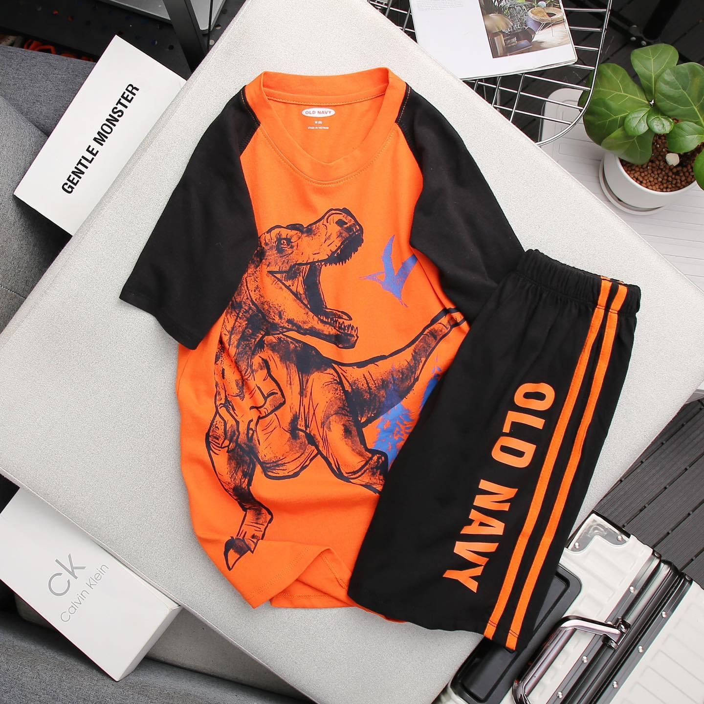 Đồ bộ bé trai, bộ mặc hè cho bé trai 100% cotton mềm mát