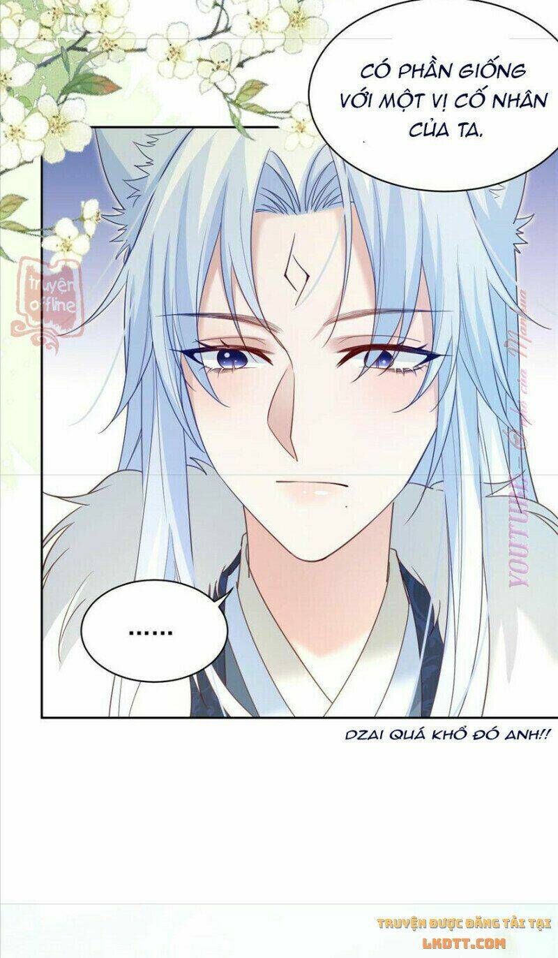 hắc hóa nam chính trực tuyến nuôi thỏ chapter 64 29