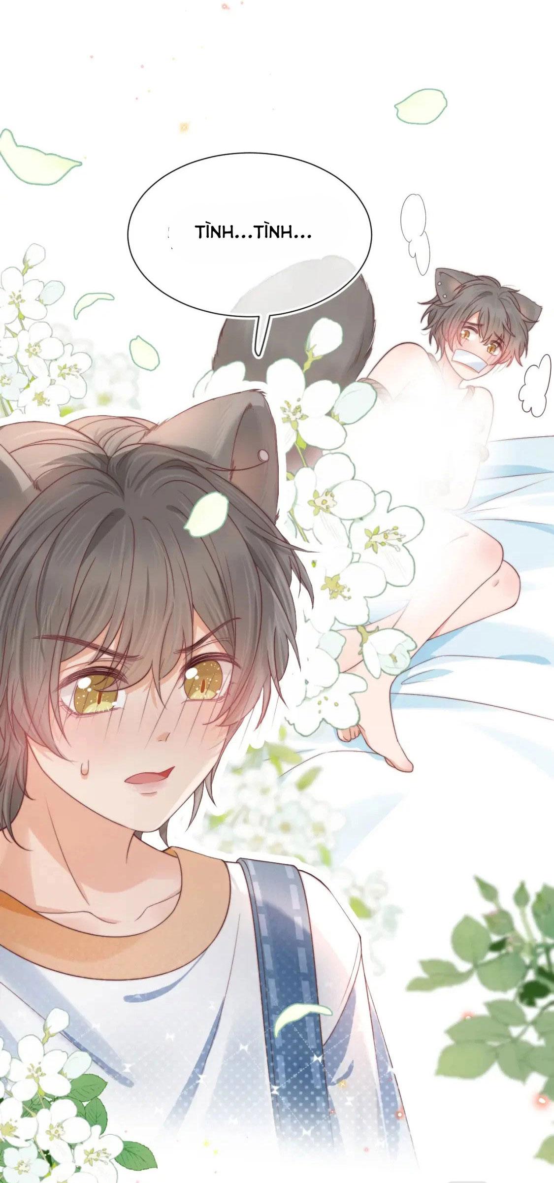 [ss2] một ngụm ăn cả thỏ con chapter 34 18