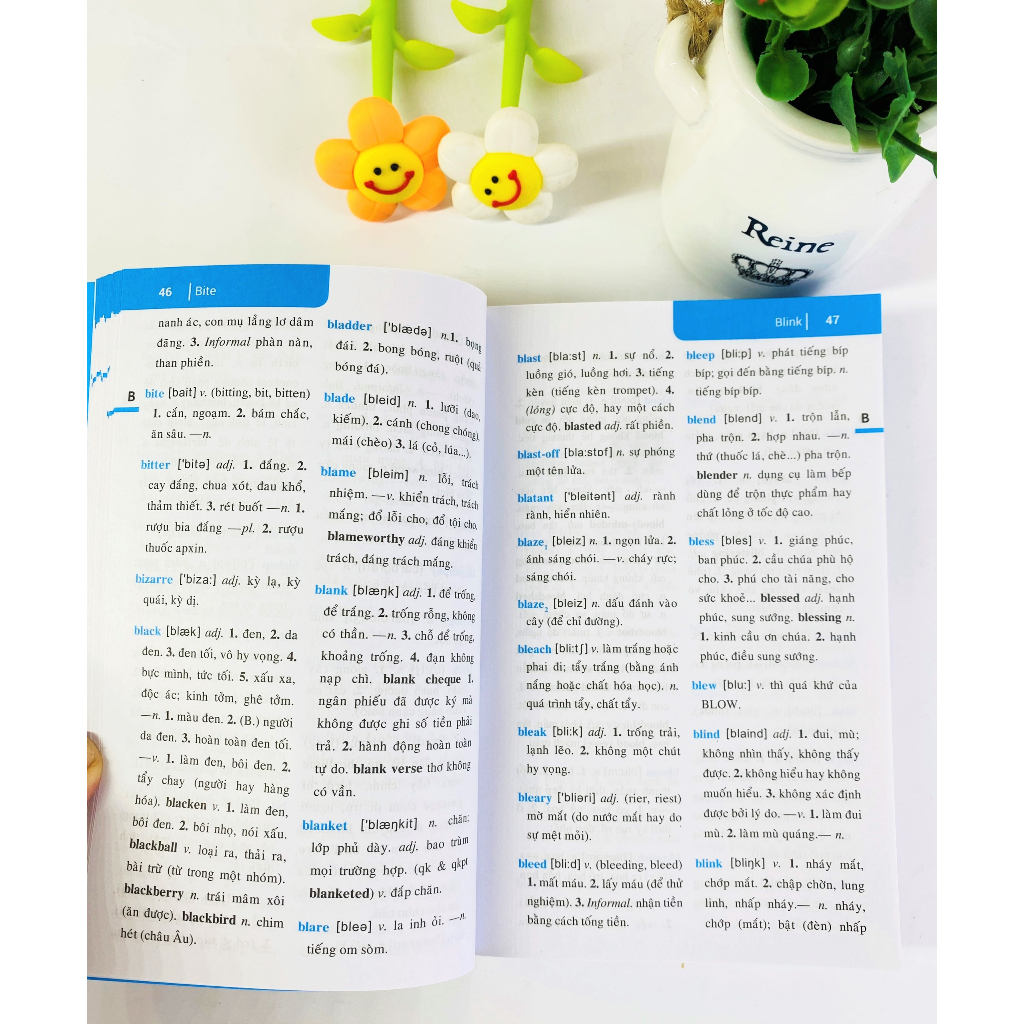 Sách - Từ điển Anh Việt - ndbooks
