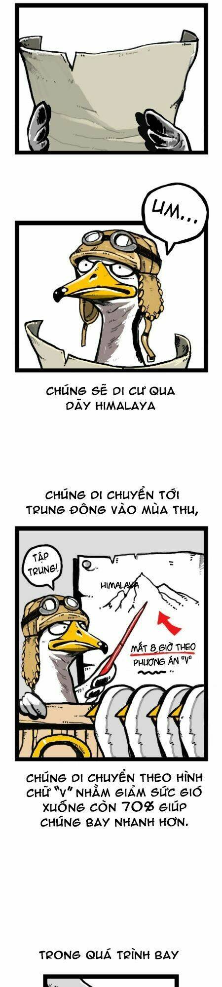 earth, human, and animal chapter 18 15