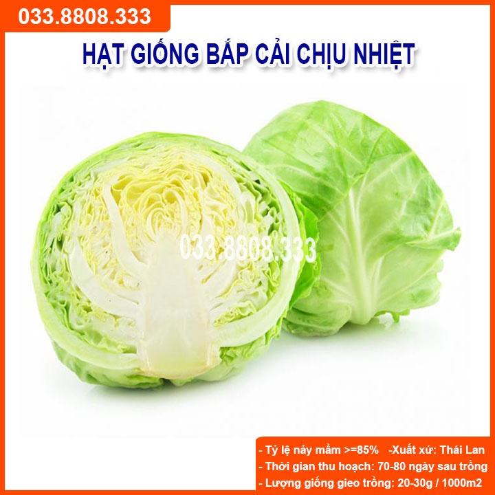 Hạt Giống Bắp Cải Chịu Nhiệt -gói 5g