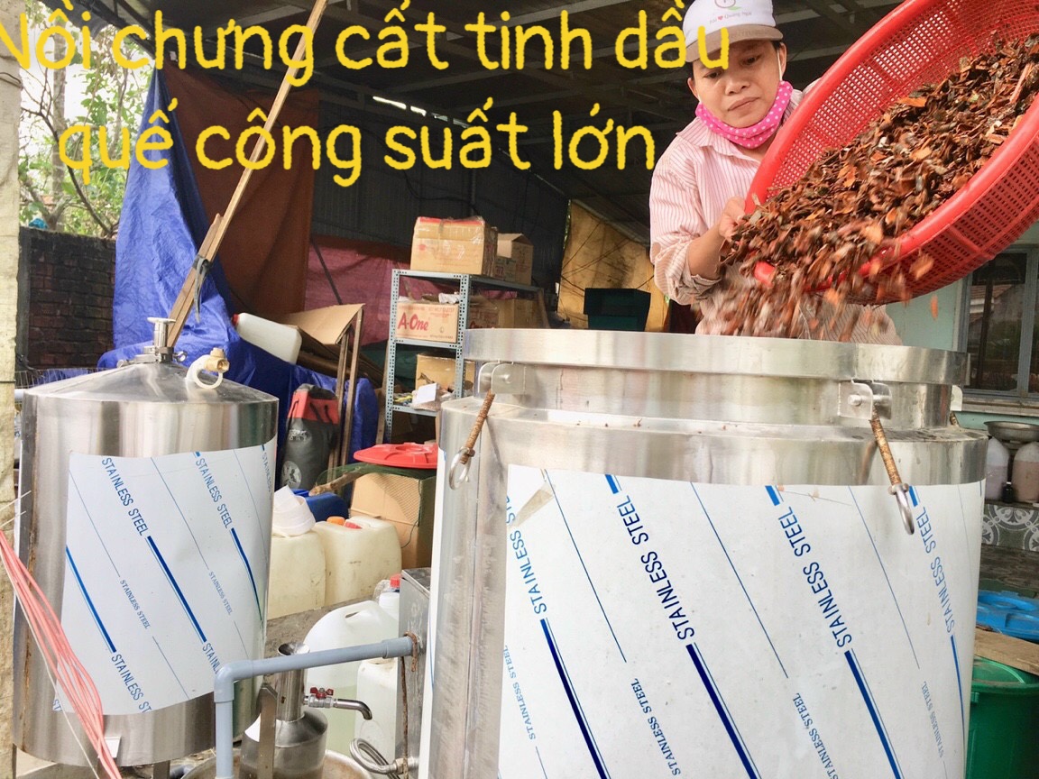 Xịt phòng vỏ quế nguyên chất Boboon đuổi muổi, đuổi ruồi, ruồi giấm, côn trùng