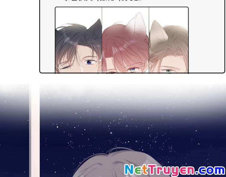 bảo vệ siêu sao của tôi chapter 87 42