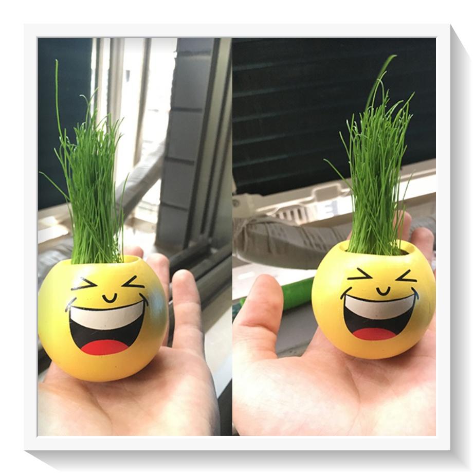 Chậu cây cảnh mini hình mặt cười vui đáng yêu, Emojji đẹp, chậu cây hình em bé baby xinh, tặng kèm đất và hạt giống cỏ