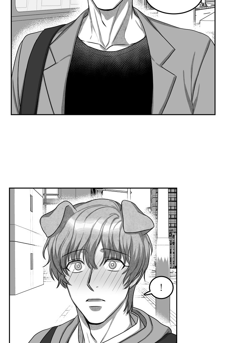 khi cún biết yêu chapter 4 8