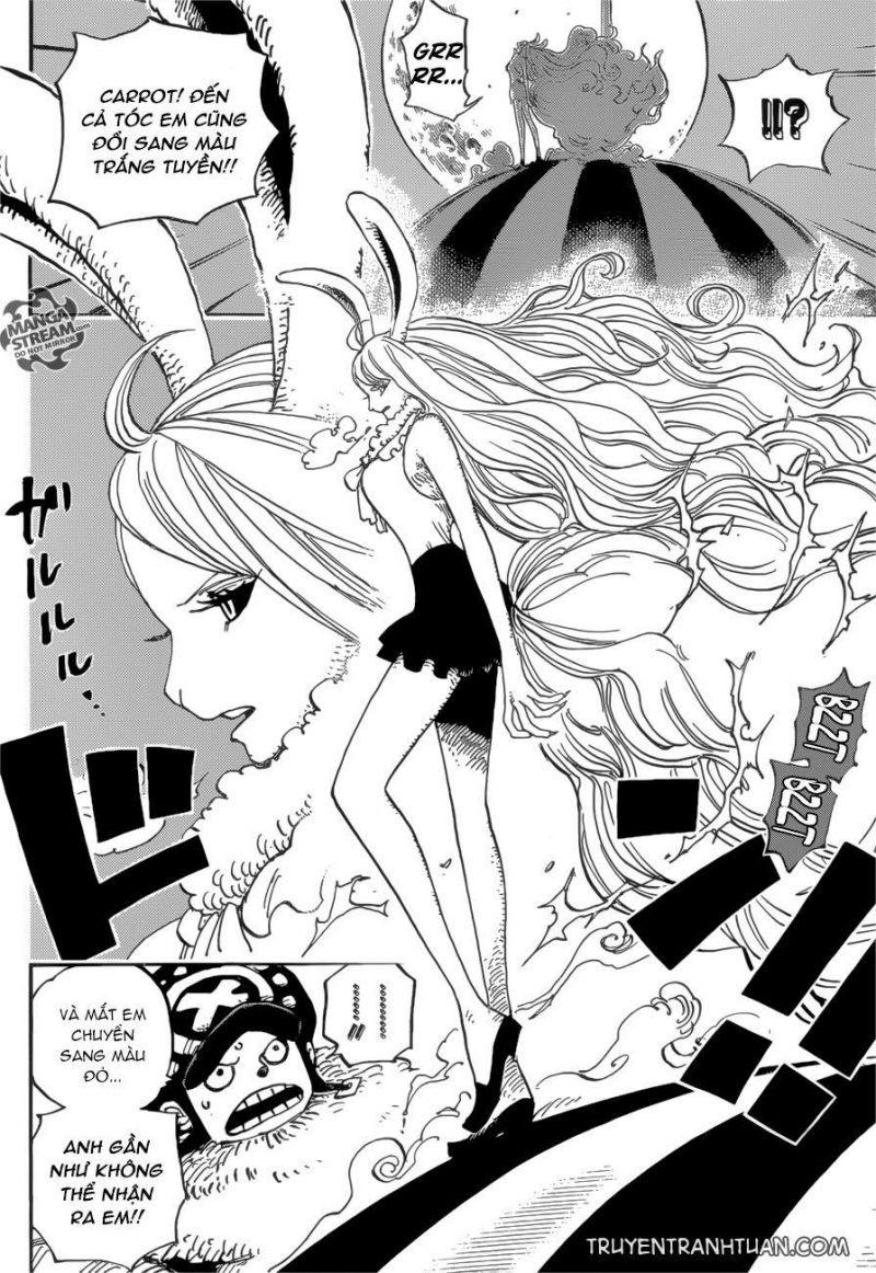 đảo hải tặc - one piece chapter 888 10