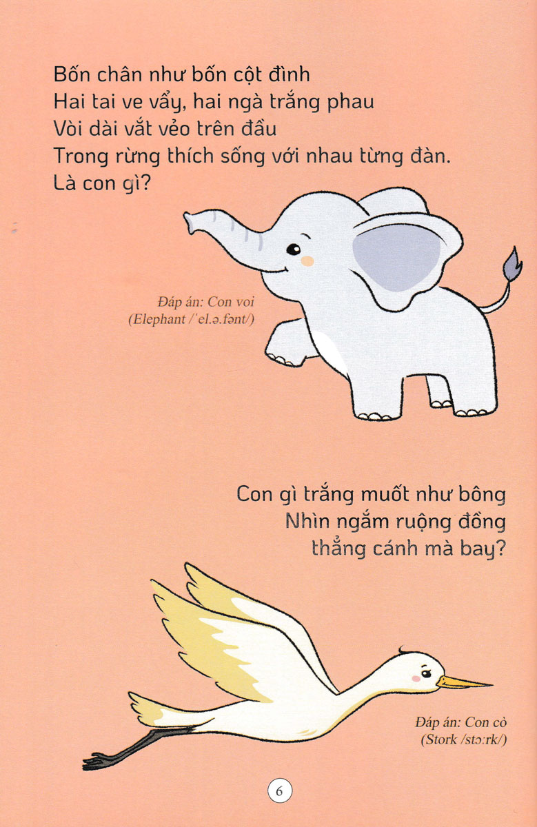 Câu Đố Dân Gian: Động Vật Và Thực Vật _PNU