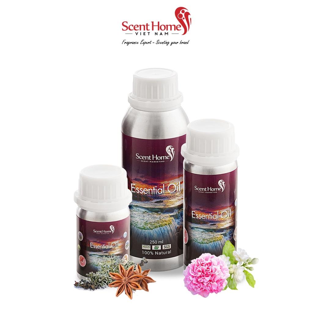 Tinh dầu Scent Homes - mùi hương