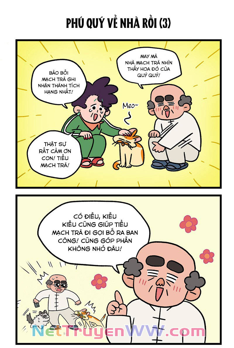 a mãn và mạch trà chapter 46 5