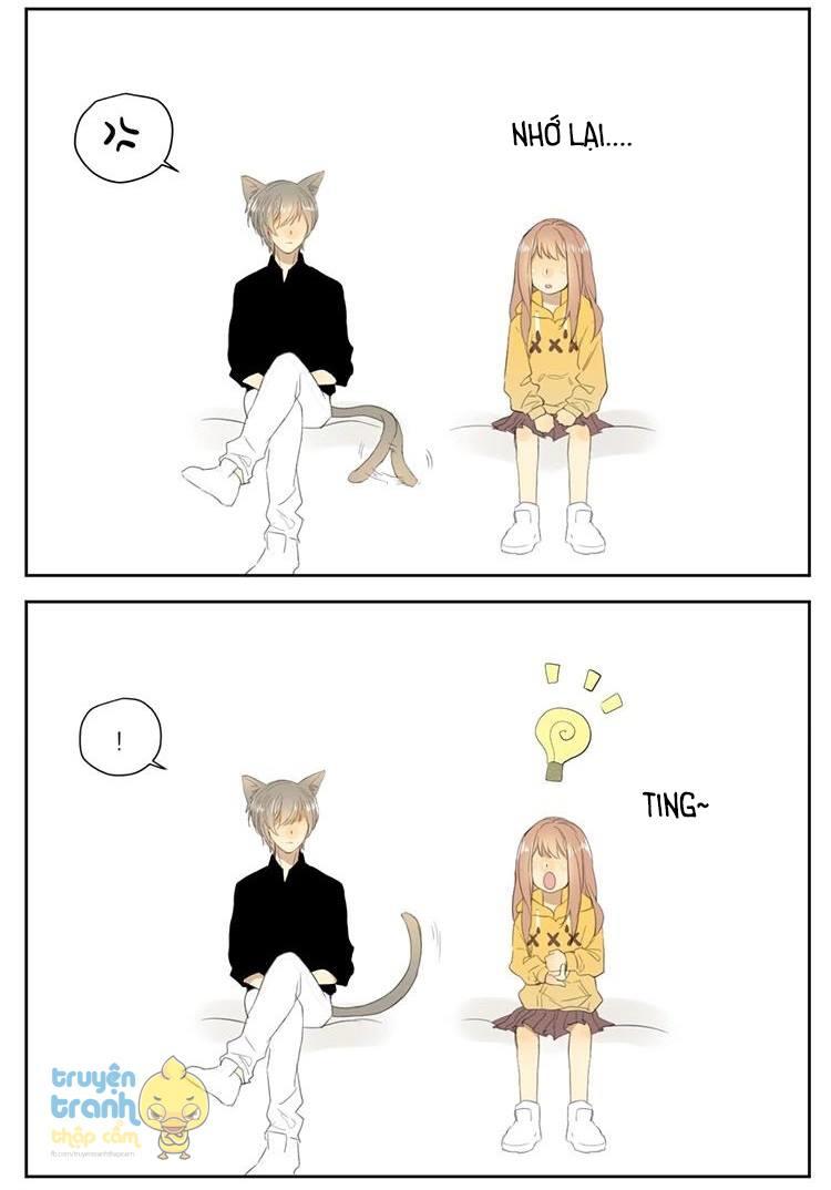 cứu mạng ! loài mèo thống trị thế giới rồi ! chapter 26 19