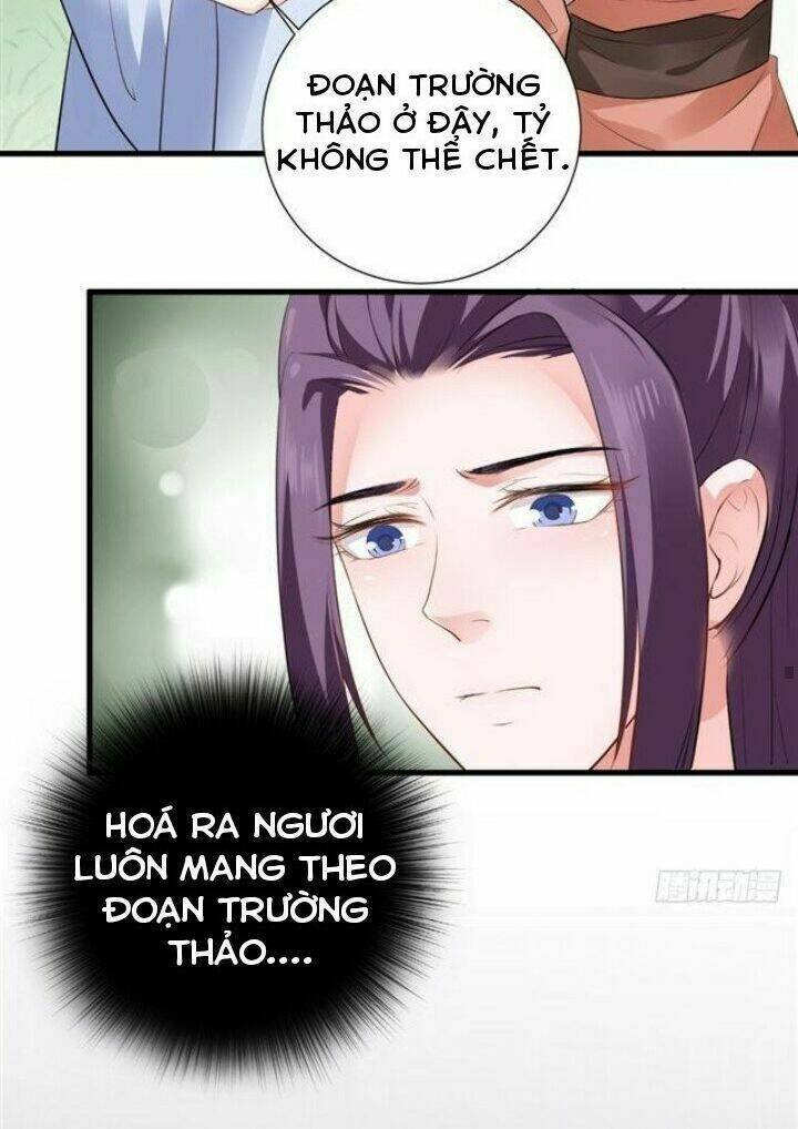 thịnh thế y nữ - lãnh vương sủng phi chapter 52 23