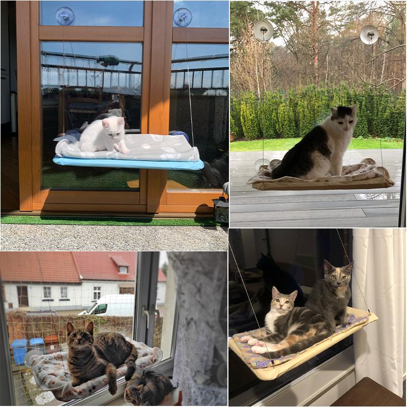 Mèo Treo Giường Thú Cưng Võng Giường Cho Mèo Thoải Mái Cát Cửa Sổ Võng Với Chăn Mền Kitty Nắng Cửa Sổ Ghế Núi Chịu Lực 20Kg