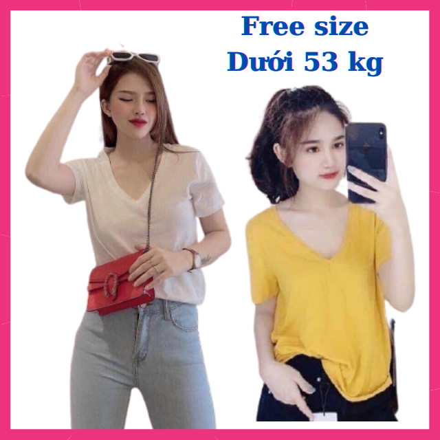 Áo Thun Trơn Nữ Cổ  Tm Tay Ngắn Cổ Điển Form Vừa - Áo Thun Nữ Cổ Chữ V  Basic 100% Cotton Thoáng Mát, Thấm Hút Mồ Hôi, Mềm Mát  Giá Rẻ Nhiều Màu Free Size