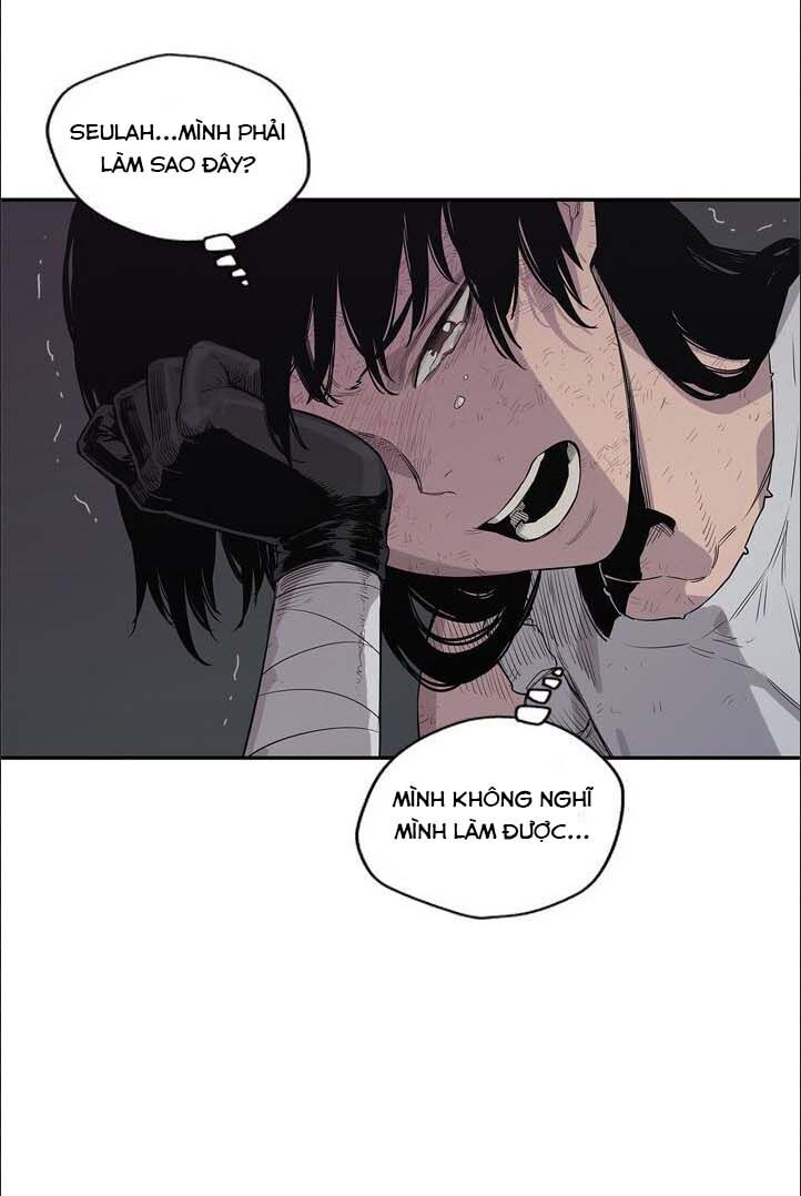 anh shipper may mắn chapter 44 55