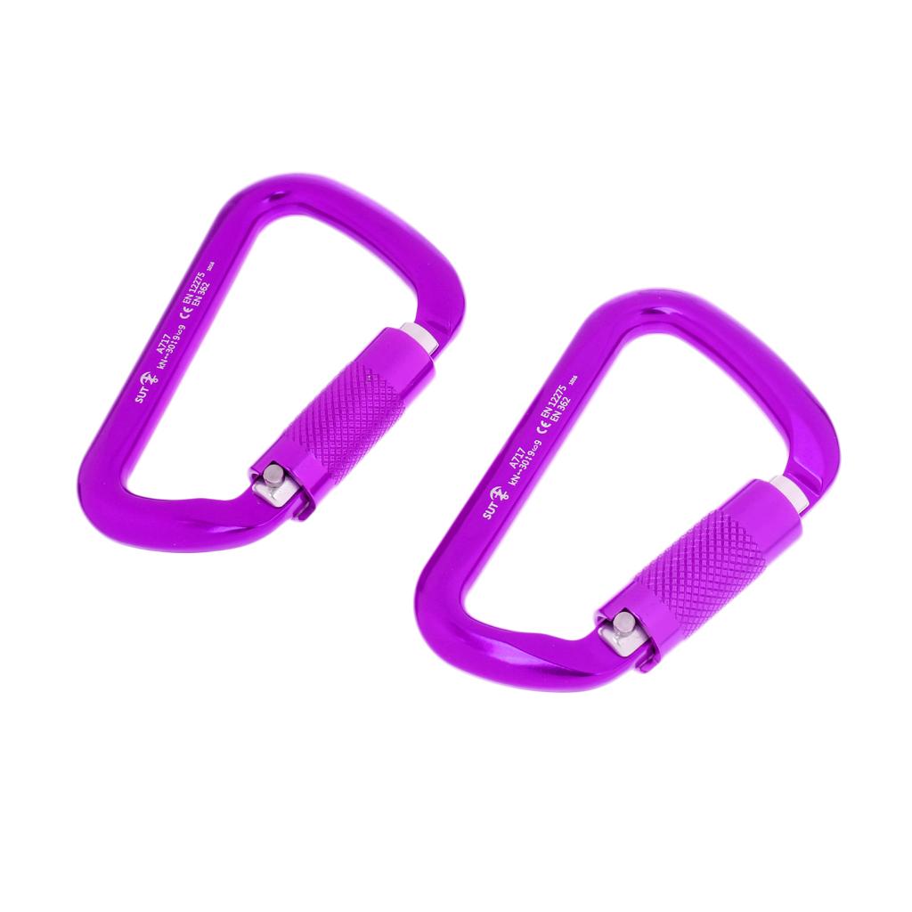 1 Pair 30KN D-Ring Twist Auto Locking Rock Climbing Carabiner Rescue