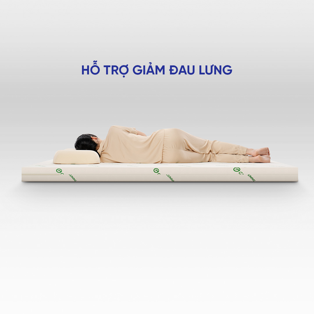 Nệm cao su foam giảm đau lưng Gummi Lite (NEW)