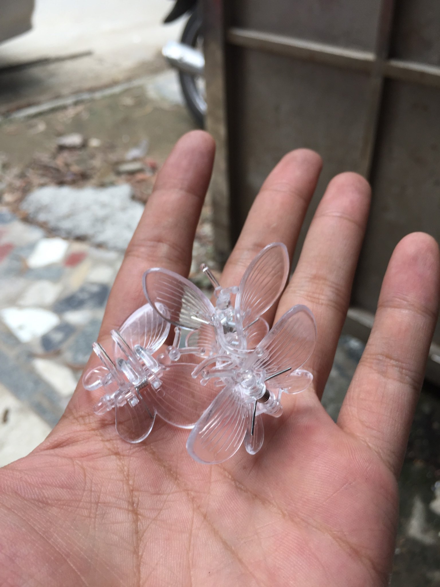 TÚI 1000 KẸP BƯỚM TRỒNG LAN SIÊU ĐẸP