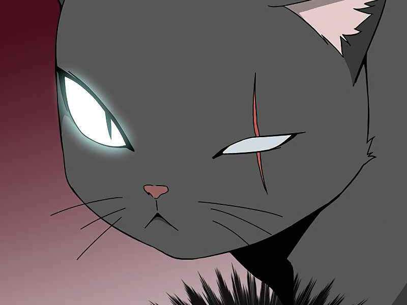 đấng cứu thế được chọn lựa chapter 12 88