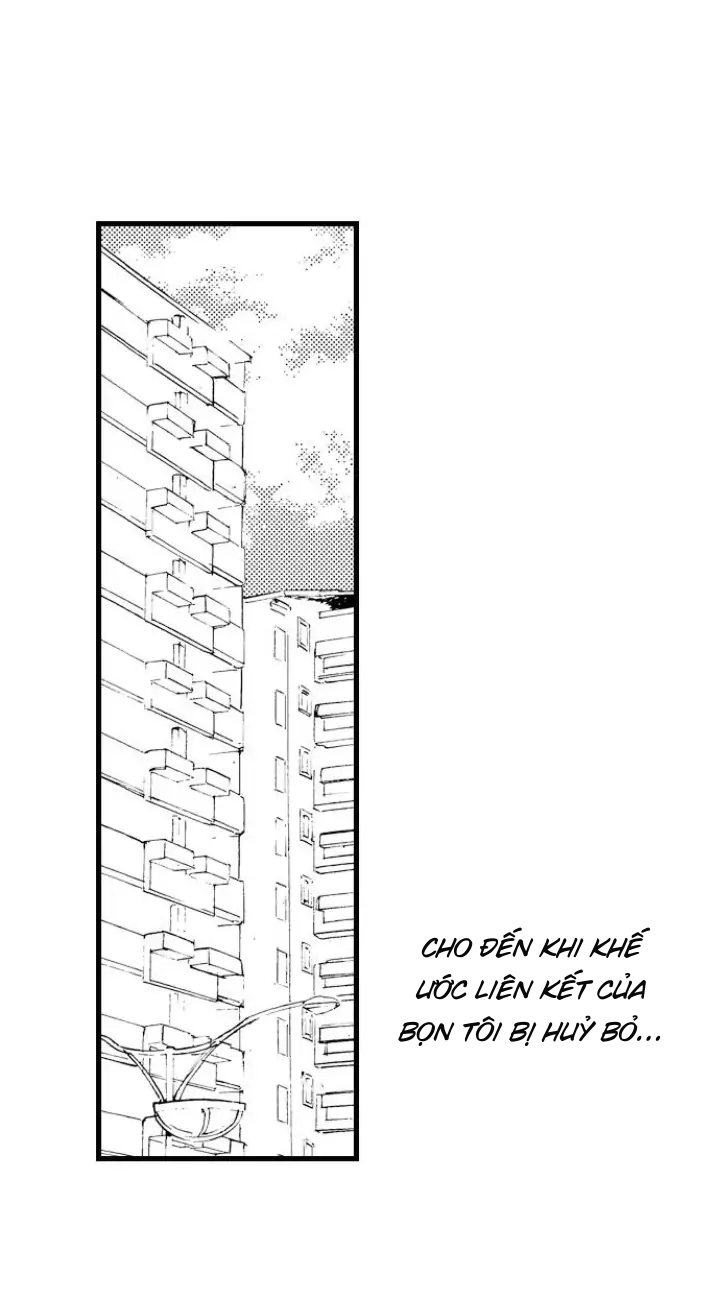 [18+]anh alpha kia! ly hôn đi chapter 3.2 13