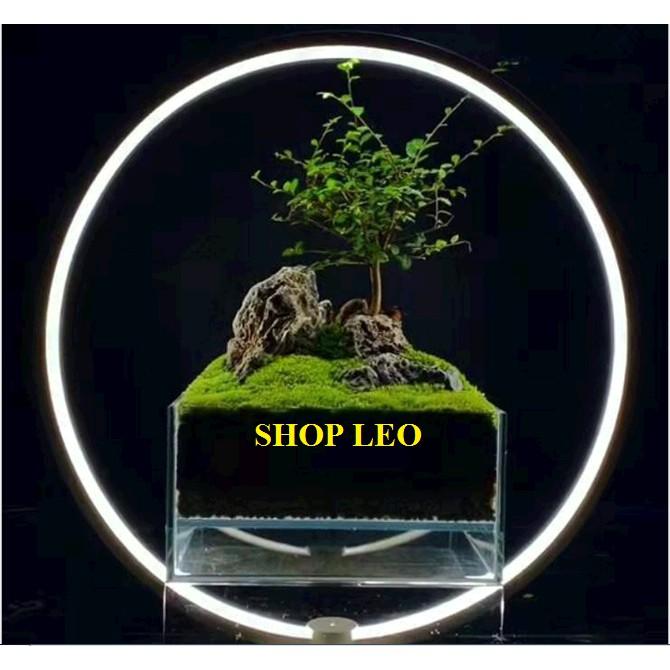 ĐÈN LED VÒNG TRÒN THỦY SINH - ĐÈN LED BỂ CÁ SIÊU ĐẸP