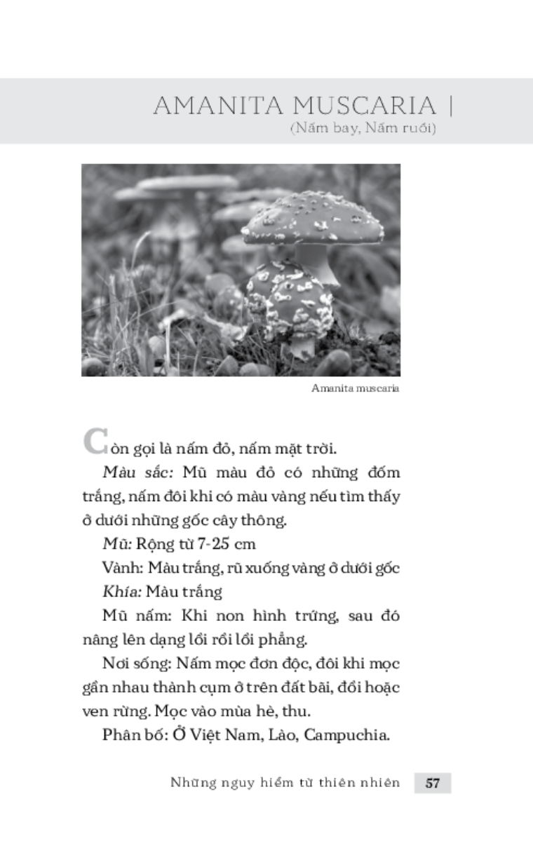 Những Nguy Hiểm Từ Thiên Nhiên _TRE