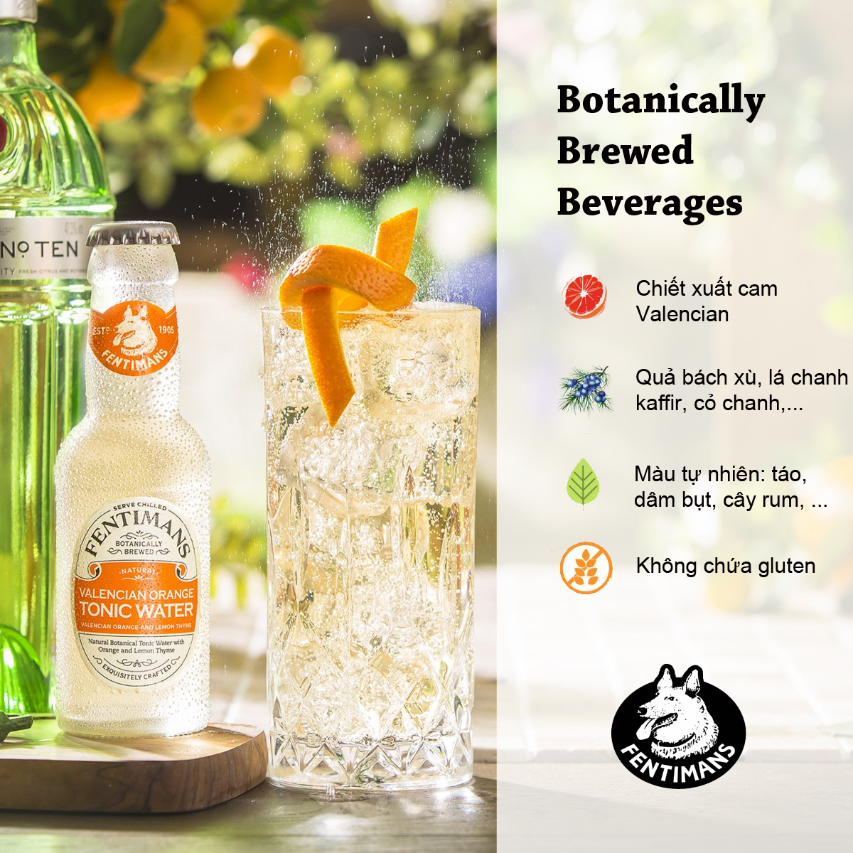 Fentimans Tonic Nước Thảo Mộc Có Ga Vị Cam Valencian Orange Anh Quốc Lốc 4 Chai - Hàng chính hãng