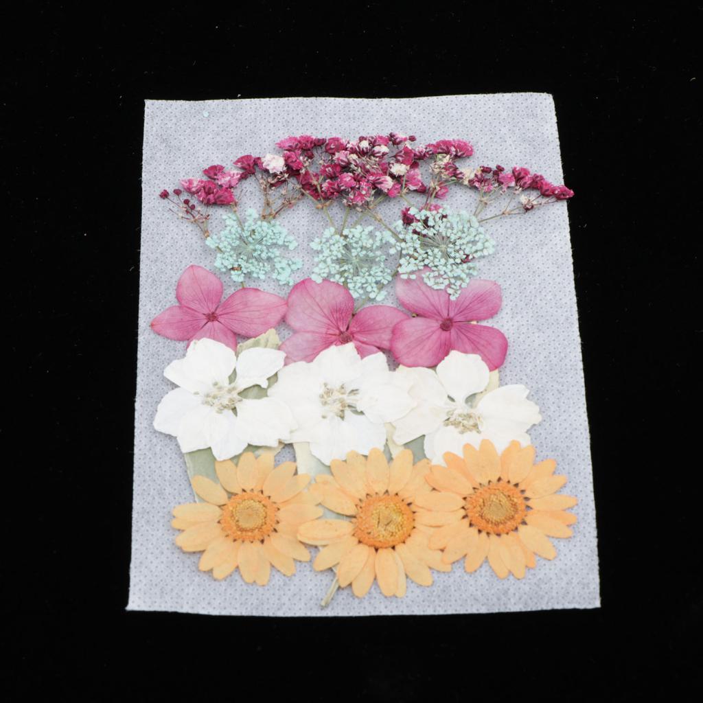 1 Bag Of Real Dried Pressed Flowers Leaves Assorted Colors for Making Greeting Card and Crafts, 2 - 3cm