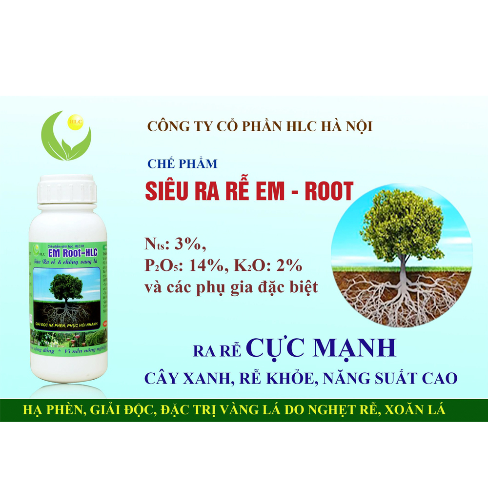 10 CHAI-Siêu ra rễ giúp cây bắn rễ tơ chống nghẹt rễ, thối làm cây chậm phát triển-76121